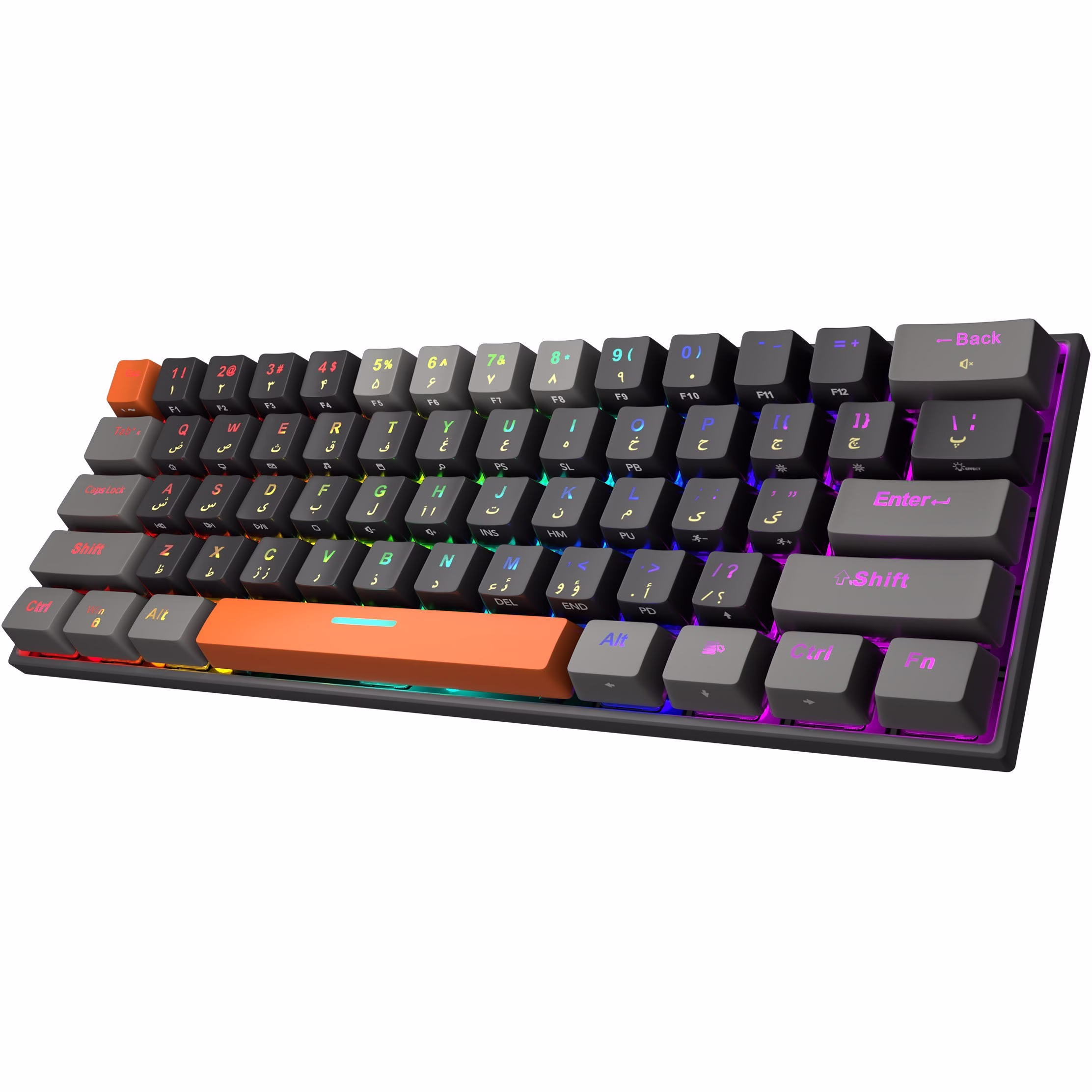 PlMd_K_oyrBwfdtg (1)
